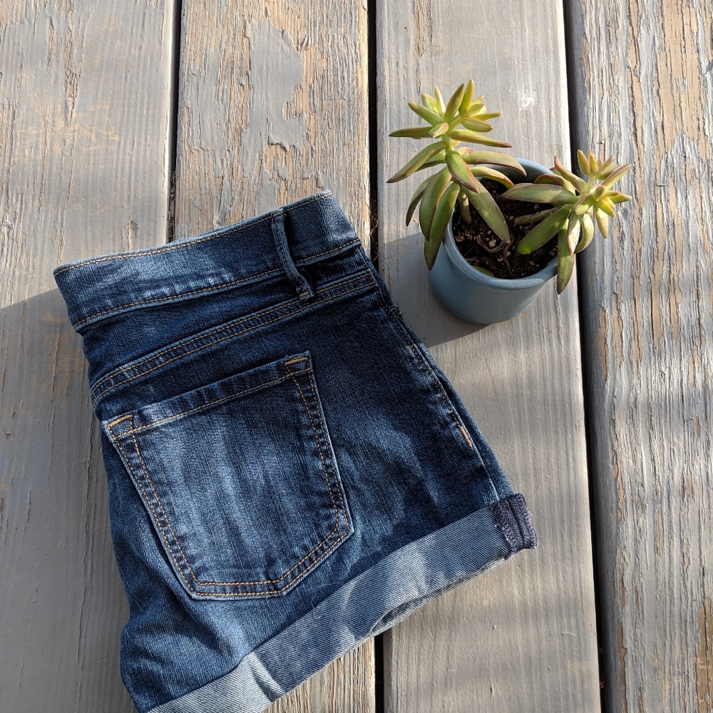 NWOT Loft Shorts - Picture 3 of 3